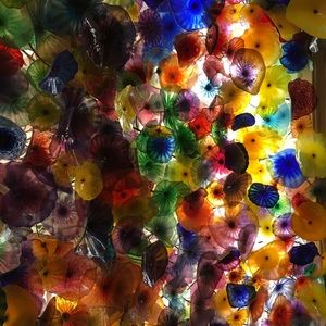 Meet your Posher, Liz